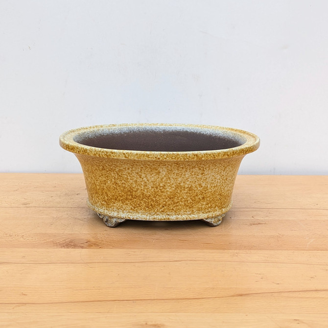 11-Inch Glazed Yixing Bonsai Pot (No. 2306d)