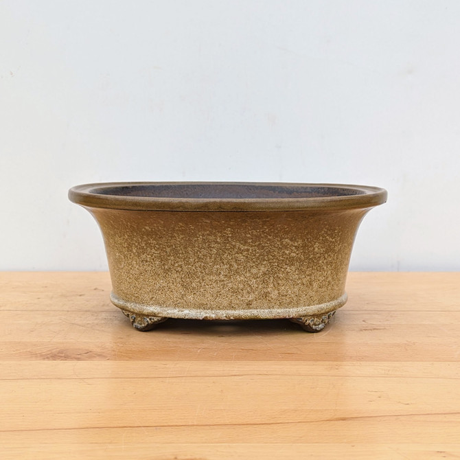 11-Inch Glazed Yixing Bonsai Pot (No. 2306e)
