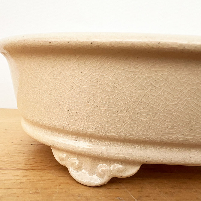 8-Inch Quality Glazed Yixing Ceramic Bonsai Pot (No. 2493c)