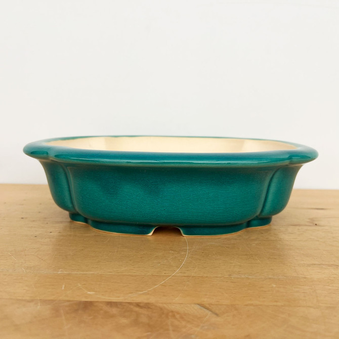 10-Inch Green Glazed Yixing Ceramic Bonsai Pot (No. 2545a)
