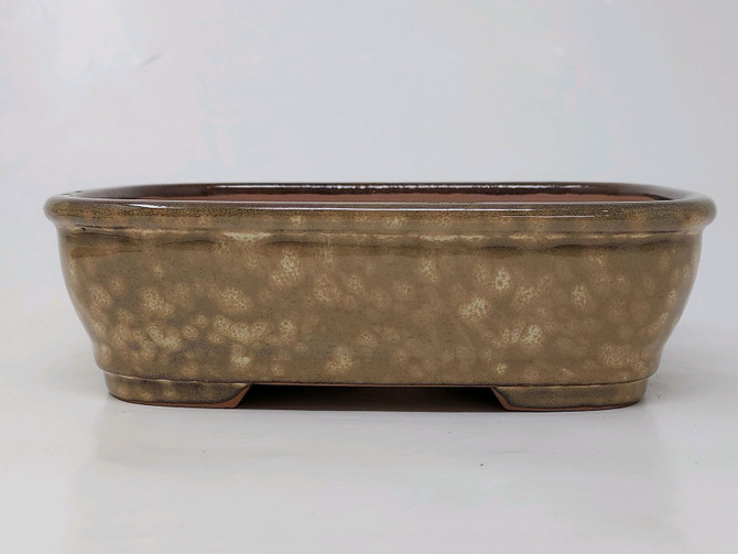 6-Inch Glazed Yixing Bonsai Pot (YX1093B)