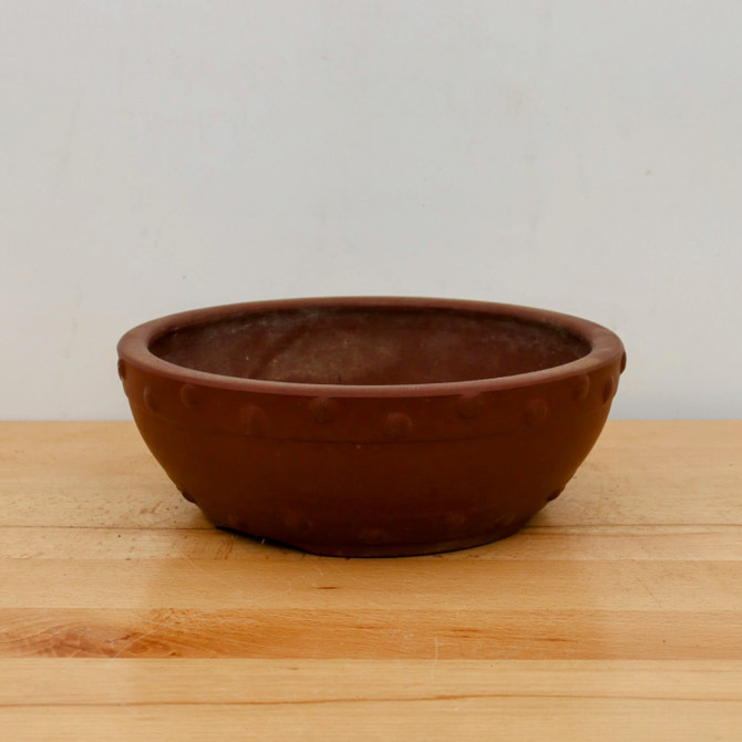 9" Tokoname Bonsai Pot - Yamaaki (No. 1548)