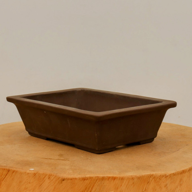 8" Tokoname Bonsai Pot - Yamaaki (No. 1562)