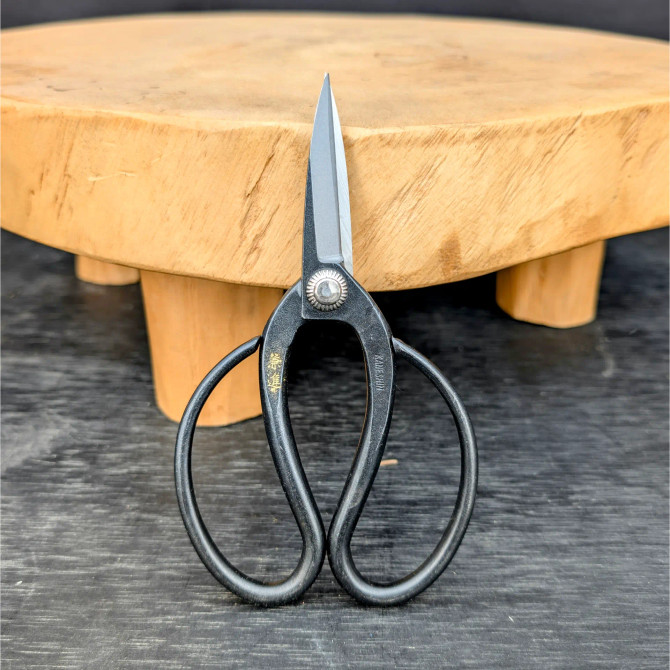 A professional-grade pair of Kaneshin Japanese butterfly root shears, model SKU 40J, is shown standing upright in a detailed close-up. These specialized bonsai tools feature large, iconic looped black metal handles designed to provide a comfortable grip and maximum leverage for heavy-duty root pruning tasks. The sharp, precision-ground steel blades are short and taper to a fine point, joined by a robust, adjustable central pivot screw. 

The handle on the right side is clearly etched with the brand name "KANESHIN" in capital letters, while the left handle features traditional Japanese characters highlighted in gold. The shears lean against a thick, natural-finish round wooden bonsai display stand with three stout legs, creating a scene that emphasizes their craftsmanship. The entire arrangement sits on a dark, textured wooden surface, highlighting the contrast between the dark metal of the shears and the light wood of the stand. This image showcases the high-quality utility and traditional design of these essential Japanese-made tools for serious bonsai enthusiasts.
