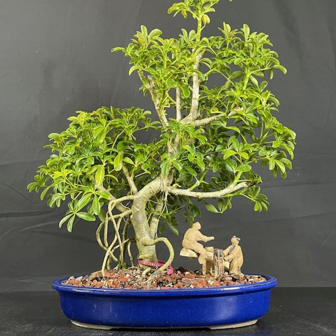 Chinese Figurine - Father & son playing seesaw (F-019)