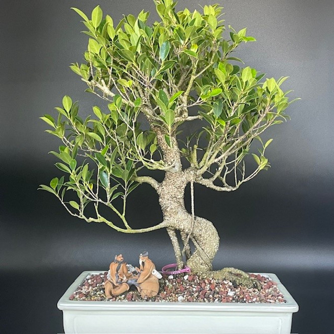 Chinese Figurine - Two Wise Men Sitting playing checkers - (F-003)