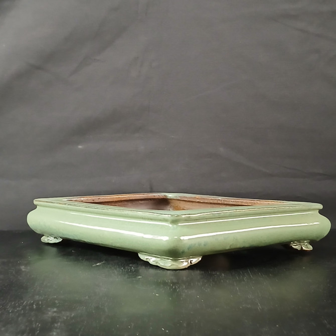 A low-profile, 12-inch shallow rectangular bonsai pot made from Yixing ceramic, showcased against a dark, moody background. The pot features a glossy, pale sage green glaze with a smooth, reflective finish that catches the light along its subtle horizontal contours. It sits on four decorative, ornate feet with a traditional cloud-motif design. The interior of the pot reveals the natural, unglazed reddish-brown texture of the Yixing clay. This elegant ceramic bonsai container is photographed from a slightly low angle on a dark, polished surface, emphasizing its wide, shallow proportions ideal for forest plantings or tray landscapes.