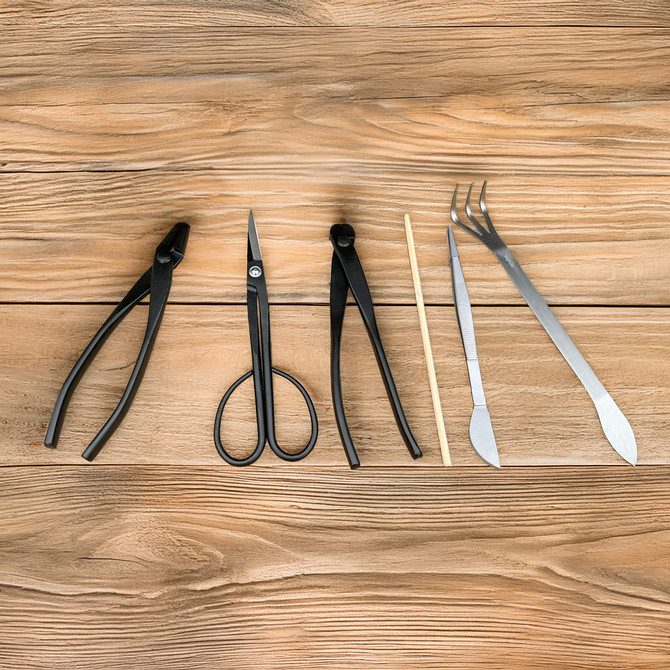 NEBG 5-Piece Pro Bonsai Tool Set (Carbon Steel) with Handmade Leather Roll – Only One Available