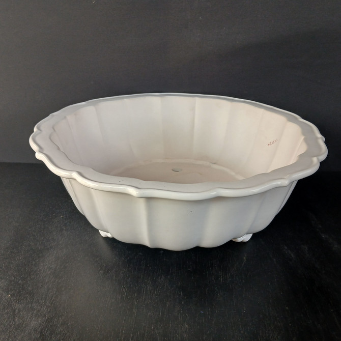 A high-angle, full shot highlights a 17-inch white round glazed Yixing bonsai pot, labeled as No. 2124. The large, shallow ceramic planter features an elegant scalloped or wavy rim with matching vertical fluted panels along its interior and exterior sides, reminiscent of a classic bowl shape. The pot is finished in a smooth, off-white glaze that has a subtle sheen. In the center of the pot's flat base, a drainage hole is visible, while small, discreet feet elevate the container slightly for air circulation. The pot is set against a dark, monochromatic background that emphasizes its clean, classic design and bright color. A small identification number "V124" is handwritten in red on the inner wall of the pot.
