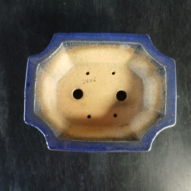 7-Inch Glazed Yixing Bonsai Pot (No. 2411i)