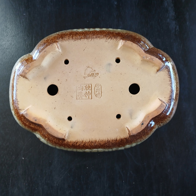 12" Glazed Yixing Bonsai Pot (No. 1862j)