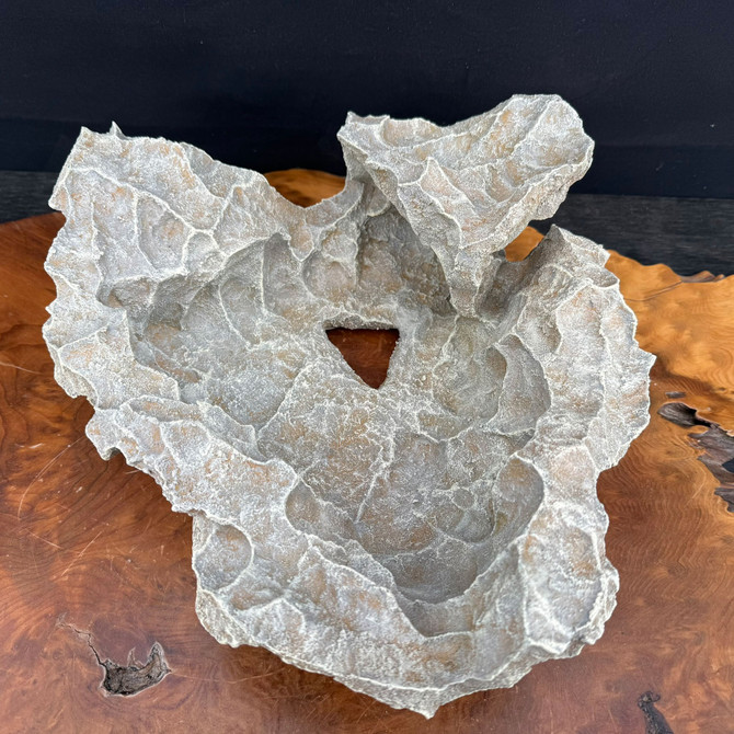 13" Handmade Naturalistic Bonsai Slab by Preston Duncan (One-of-a-Kind)  (No. 10)