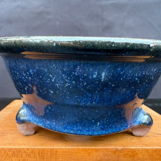 Close-up of Kakuzan Tokoname bonsai pot showing deep blue speckled glaze texture, star motif detail, and rim edge finish