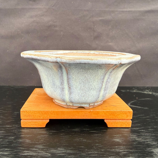 Side profile of Kakuzan Tokoname bonsai pot showing scalloped lotus form, soft gray glaze, flared rim, and elevated base on a display stand