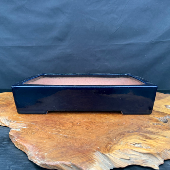 Dark blue glazed rectangle bonsai pot front view, low profile with clean rim