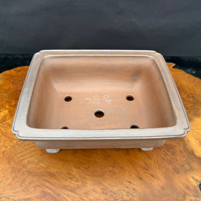 Top view of deep rectangular Reiho bonsai pot showing interior and drainage holes
