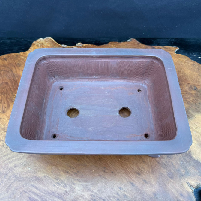 Top view of 9.75 inch Bigei Tokoname rectangle bonsai pot showing interior, drainage holes, and wire holes