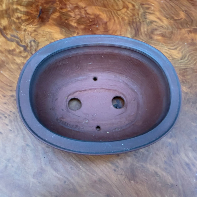Top view of 5.75 inch Bigei Tokoname oval bonsai pot showing interior, drainage holes, and wire holes