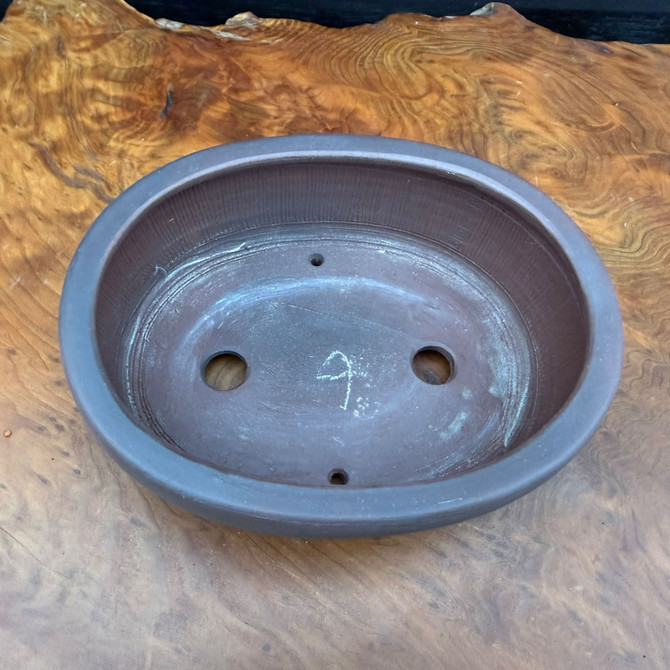 Top view of 6.25 inch Bigei Tokoname oval bonsai pot showing interior, drainage holes, and wire holes