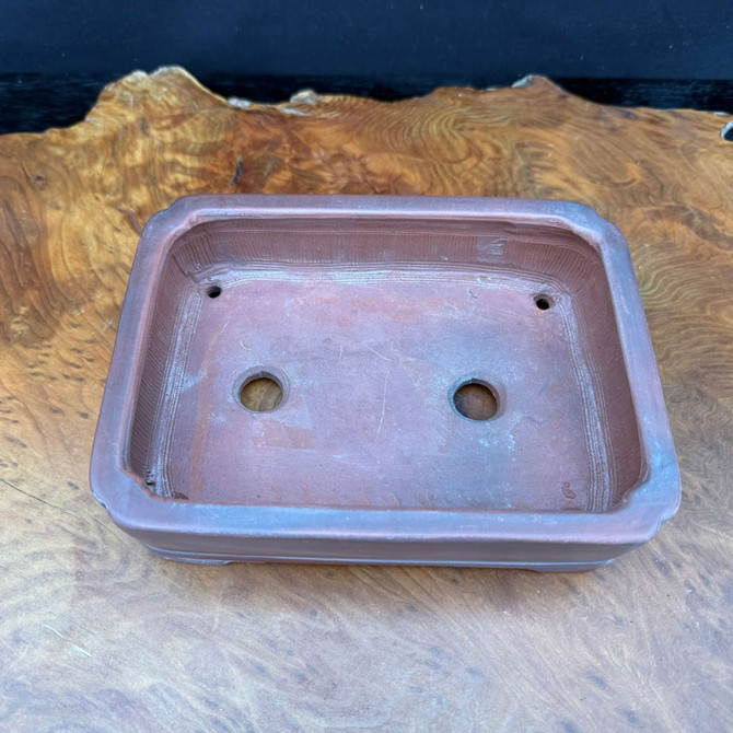 Top view of 7.5 inch Bigei Tokoname rectangle bonsai pot showing interior, drainage holes, and wire holes