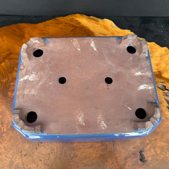 Bottom view of Shuho handmade rectangle bonsai pot showing feet, drainage holes, and artist chop