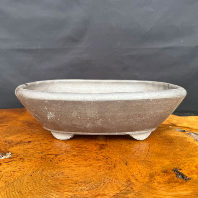 12.5 inch handmade Tokoname oval bonsai pot purchased from Shuho front view