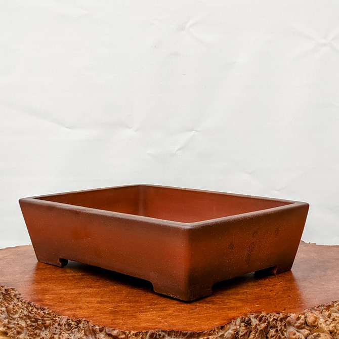A high-angle, front-view photograph showcasing a 15-inch large unglazed Yixing bonsai pot. The pot features a classic rectangular shape with clean lines and slightly tapered sides that slope toward the base. Made from traditional deep reddish-brown clay, the surface has a smooth, matte finish with subtle variations in color and texture characteristic of high-quality Yixing ceramics. 

Small, integrated block feet are visible at the corners to provide elevation and drainage. The pot is displayed on a polished, natural-edge wooden slab, which rests against a neutral, off-white textured background. The bright, even lighting emphasizes the minimalist design and the rich earthy tones of the unglazed clay, making it an ideal vessel for professional bonsai styling.