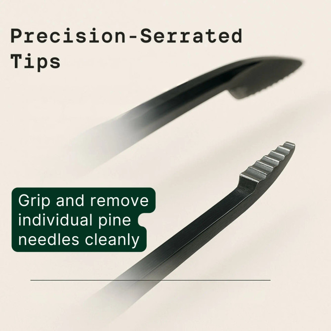 Bonsai Pine Needle Tweezers (Straight or Curved)