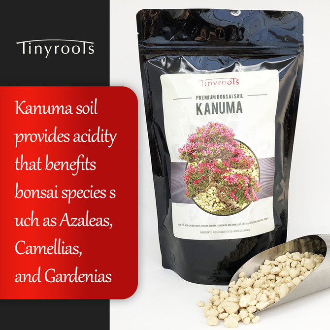 Kanuma Bonsai Soil - Great For Acid Loving Trees (Azaleas, Camellias, Gardenias)