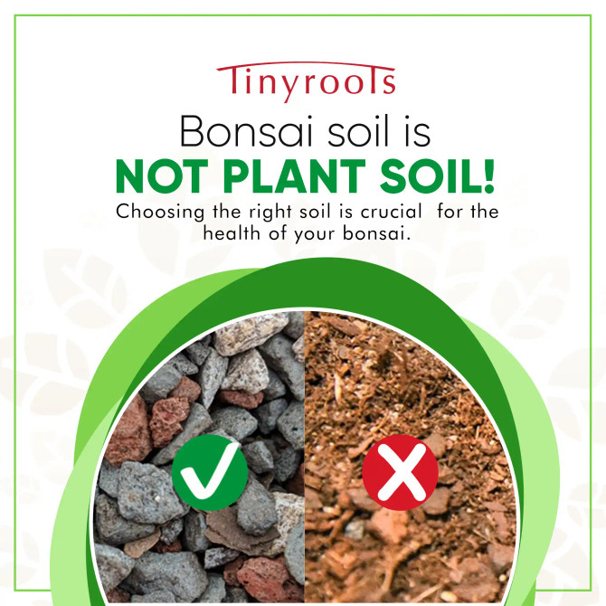 Tinyroots Bonsai Tree Soil - All Purpose Blend
