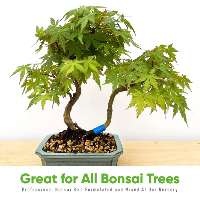 Tinyroots Bonsai Tree Soil - All Purpose Blend