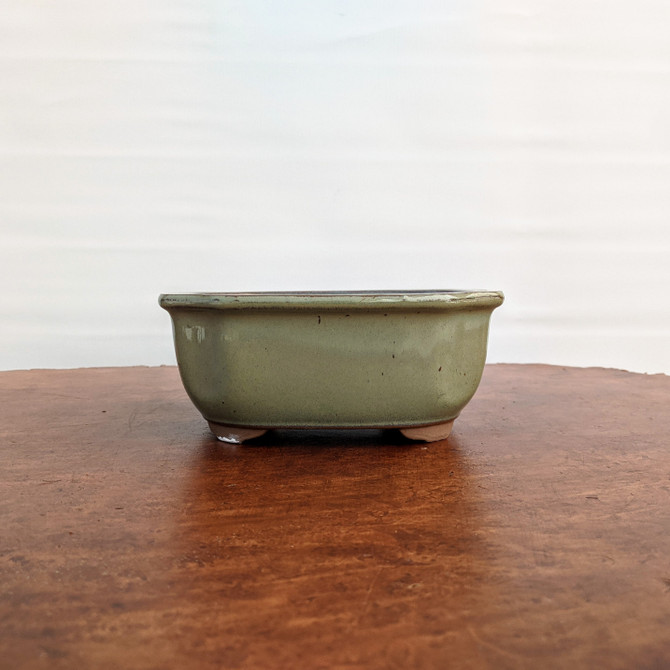 5-6" Glazed Japanese Bonsai Pot (Olive/Green)