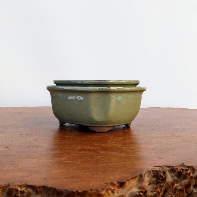 5-6" Glazed Japanese Bonsai Pot (Olive/Green)