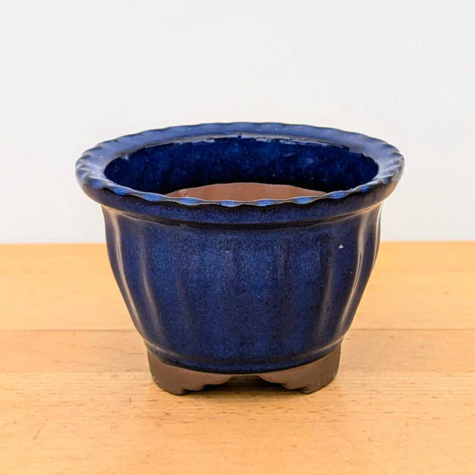 5" Glazed Round Japanese Bonsai Pot (Choose Color)