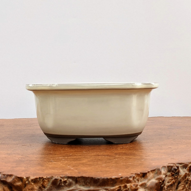 Cream Glazed Ceramic Japanese Bonsai Pot (No. 2912)