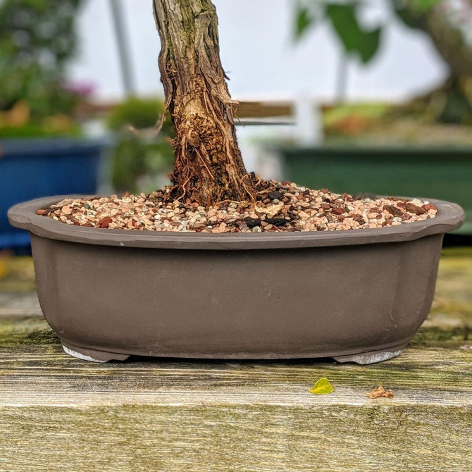 Udei Unglazed Tokoname Pot