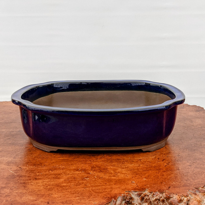 A deep blue Namako glazed Japanese Tokoname bonsai pot is showcased on a polished, reddish-brown burl wood surface. The pot has a glossy, dark navy finish and a soft oval shape with a wide, flared rim. Its interior and base remain unglazed, showing the natural tan-colored clay. The pot is centered in the frame against a simple, textured white wall, highlighting its elegant craftsmanship and traditional Japanese pottery style.