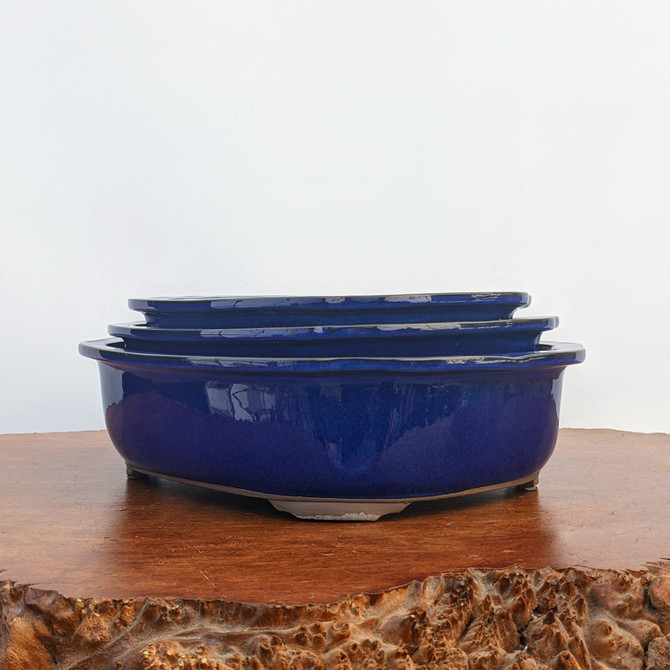 A stack of three nested, oval-shaped Japanese bonsai pots rests on a textured, live-edge wooden display board. Each pot is coated in a vibrant, high-gloss Namako glaze, a signature deep cobalt blue that reflects the surrounding light. The pots feature elegant, slightly lobed rims and are supported by small, unglazed ceramic feet at the base for drainage. The set is arranged from largest to smallest, emphasizing the smooth curves and uniform craftsmanship typical of authentic Tokoname-ware. The minimalist composition is set against a clean, off-white background, putting the focus entirely on the rich blue color and traditional ceramic design of these handcrafted pots.