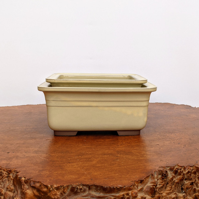 Cream Glazed Rectangle Japanese Bonsai Pot (Choose Size)