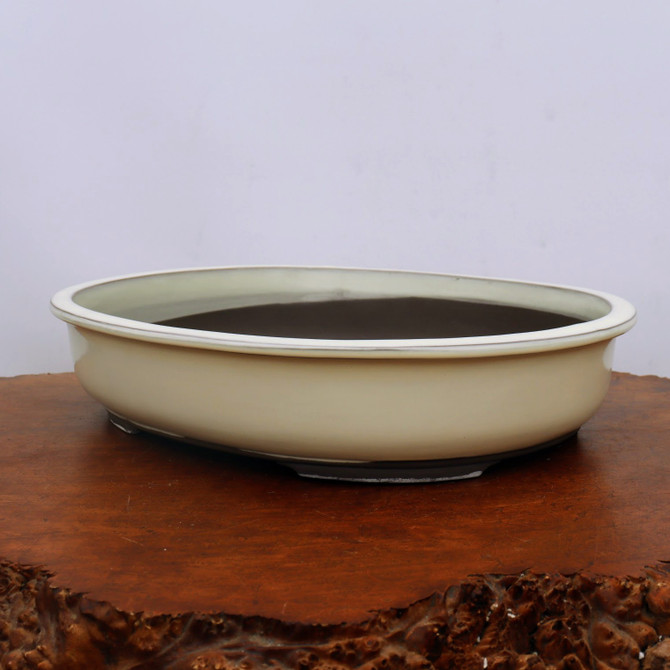 Oval Cream Glazed Japanese Bonsai Pot (No. 1547)