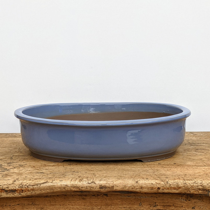 Light Blue Glazed (oval) Japanese Bonsai Pot (No. 1547)