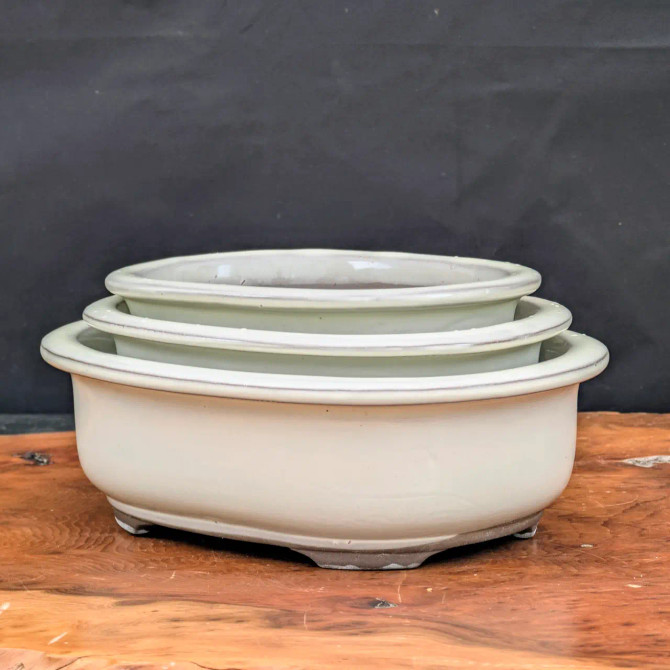 Cream (oval) Glazed Bonsai Pot (6-8")