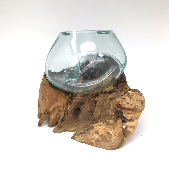 Medium Hand blown Molten Glass Terrarium & Driftwood (tersa)