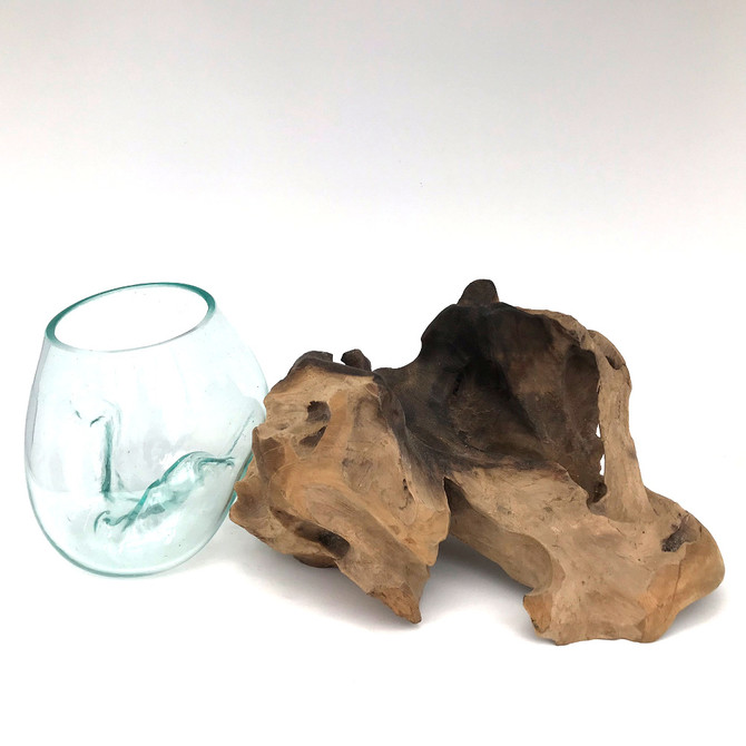 Medium Hand blown Molten Glass Terrarium & Driftwood (tersb)