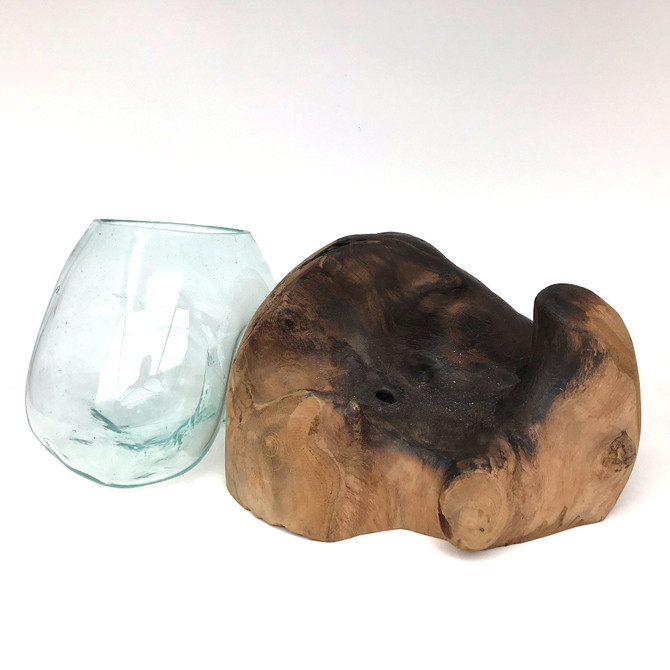 Large Hand blown Molten Glass Terrarium & Driftwood (terma)