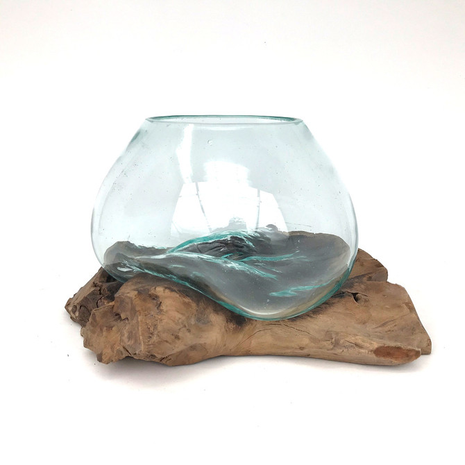 Medium Hand blown Molten Glass Terrarium & Driftwood (tersw)