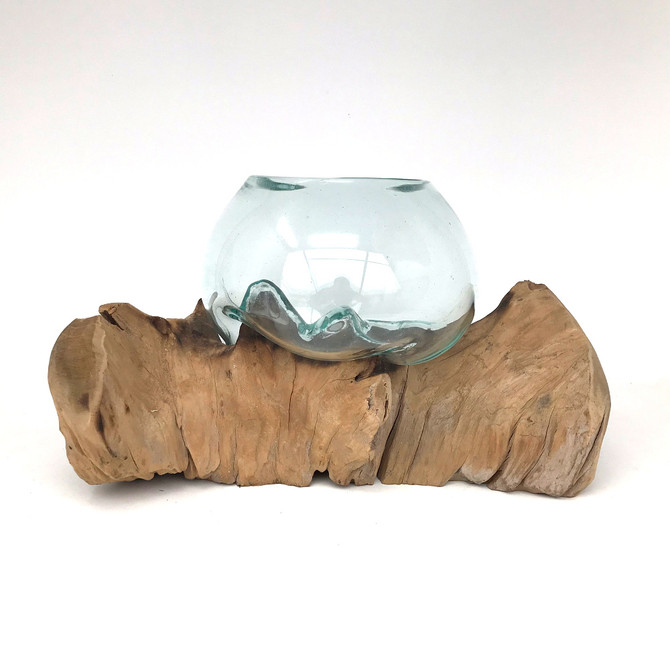 Medium Hand blown Molten Glass Terrarium & Driftwood (tersf)