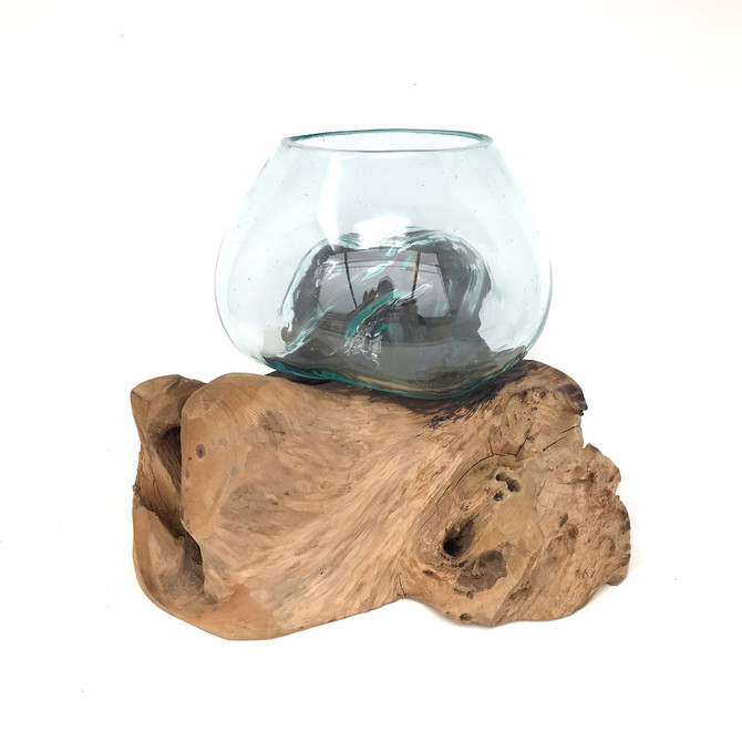 Medium Hand blown Molten Glass Terrarium & Driftwood (tersv)