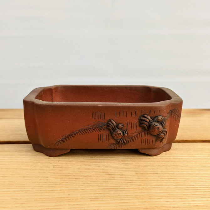 5" Unglazed Yixing Bonsai Pot (no. 869)