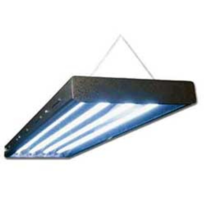 Grow Light Fixture 6 bulb Bonsaioutlet